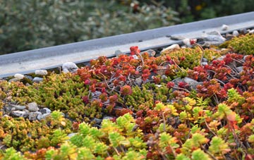 the cost of Cromor green roof installation